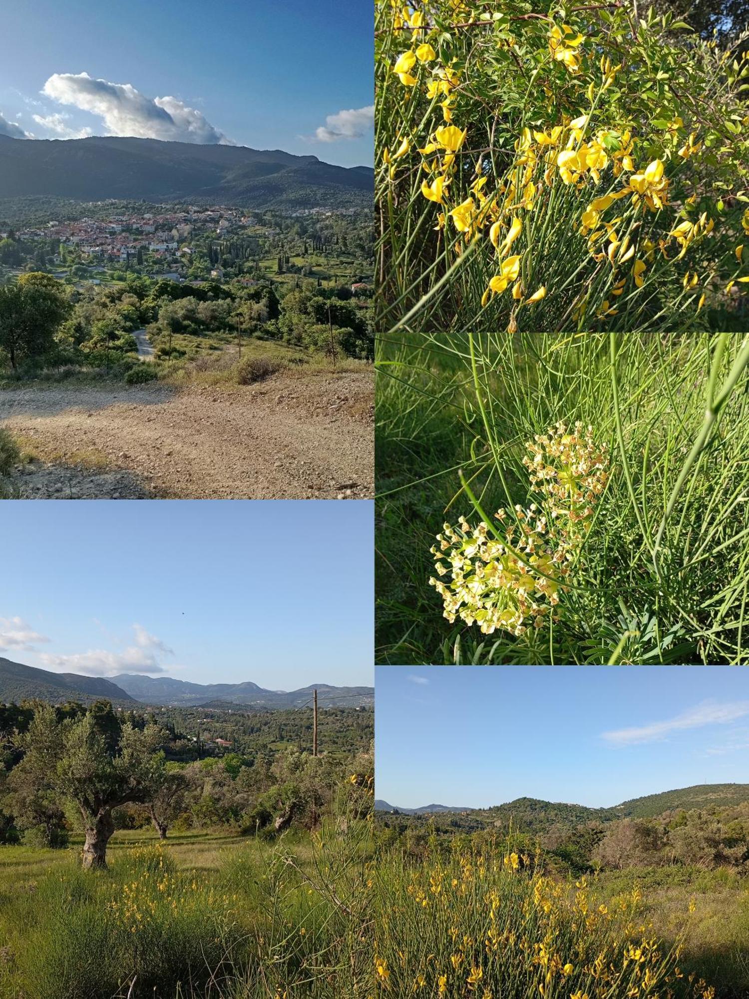 La Nature Konistres Kültér fotó