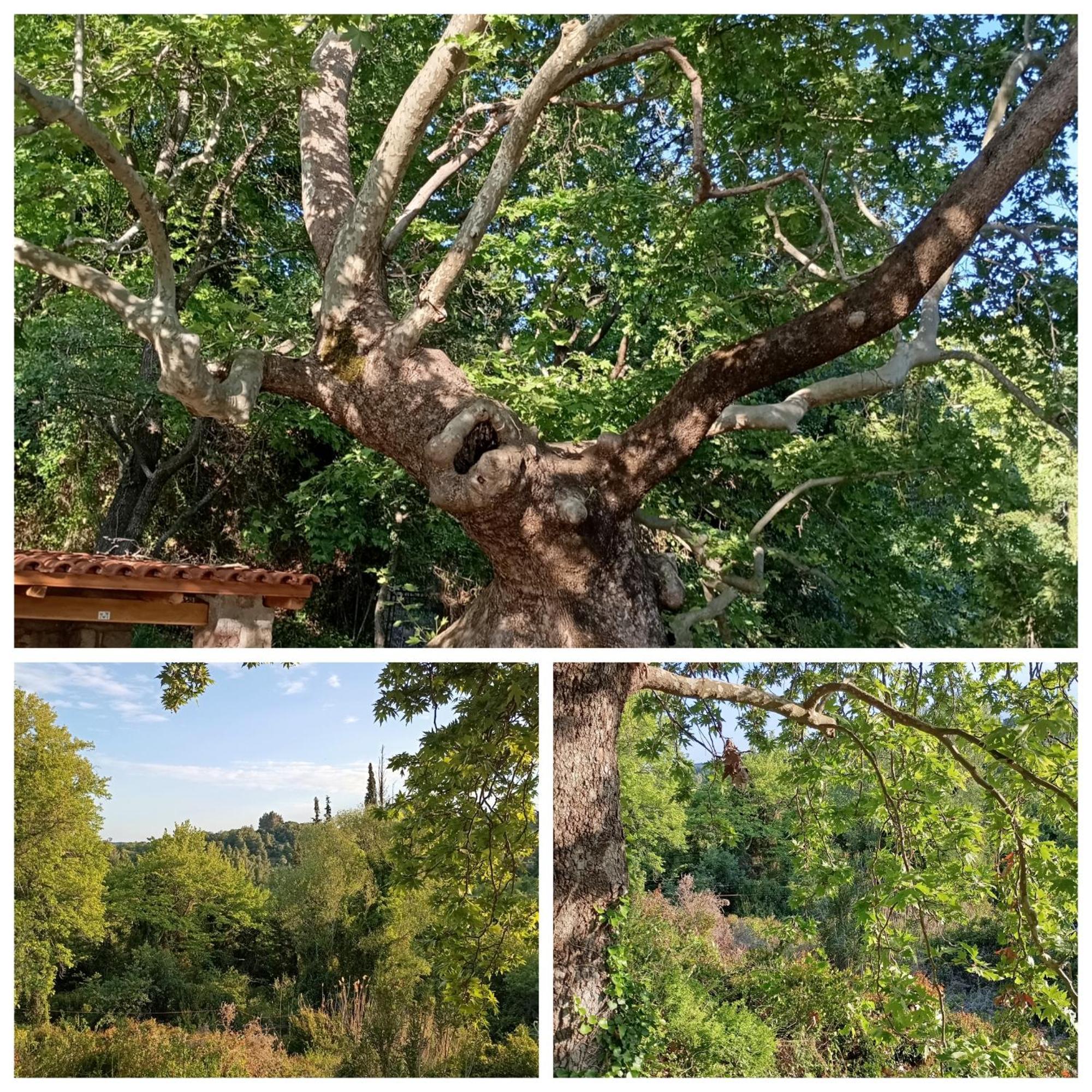 La Nature Konistres Kültér fotó